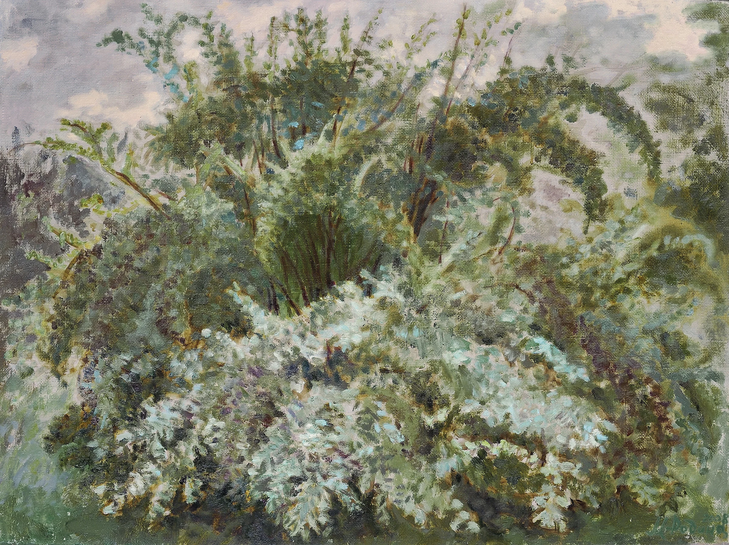 Old Bush by Olena Mykhaylova-Rodina